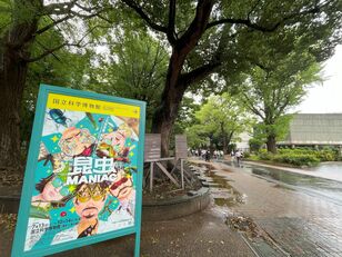 度肝を抜かれる巨大模型！ 「ムシ好きでなくても必見」 マニアックな視点が斬新すぎる特別展『昆虫 MANIAC』 “実はこれからが見学チャンス” 【国立科学博物館】2024年