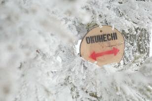 【地域おこしのカギとなれるか】世界遺産に登録されなかった “幻の熊野古道”「奥辺路」とは？【耕して、焙煎して、走る男　人口2,800人の村に移住してみました vol.12】