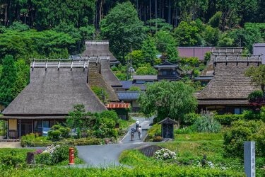 Bonzo様用【9缶】ザッチドコテージ　かやぶき屋根 かやぶき屋根の恩返しの恩返し、築156年のかやぶき屋根店舗の保存