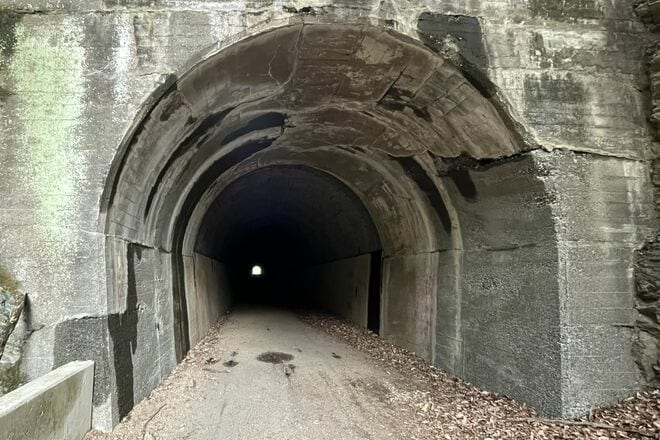 【花巡り】早春ハイキング “見頃を迎えたミツマタ” 東丹沢を埋め尽くす「黄色のポンポン」 県内最大規模の群落を楽しむ   神奈川県｜2026年の画像002