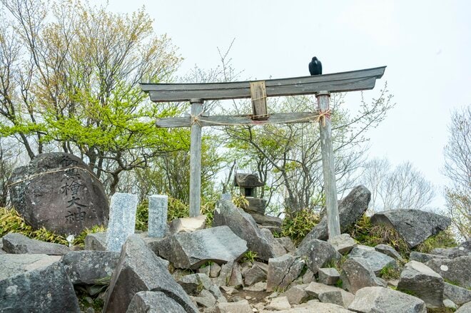 【百名山】新緑と各種ツツジが見頃の “赤城山” で周回縦走！ 「印象に残ったのは立派なカラス」 群馬県｜2026年の画像010