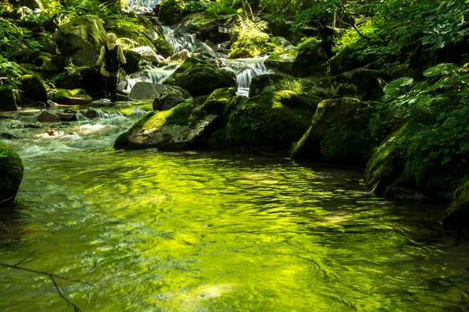 【渓流釣り】盛夏、ベスコンになった飛騨の渓へ 「蜘蛛の巣だらけだけど、尺イワナが連発！」 岐阜県・2025年の画像001