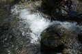 【2024年5月・渓流実釣レポ】南アルプス山中の沢にも「春の知らせ」の画像002