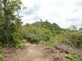 まるで竹田城！？　穴場の絶景山城「岩尾城」 野趣あふれる「天空の石垣＆曲輪」 兵庫県丹波市・蛇山「山頂レポ」の画像015