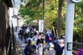 「とっておきのプラン」高尾山は “前泊” がオススメ！  日帰りでは味わえない、混雑知らずの「早朝ハイキング」 下山後は温泉でとろける旅【2021年・東京都】の画像012
