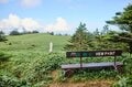 星と雲海と山々が作り出す “日本屈指” の絶景キャンプ場「瓶ヶ森第一キャンプ場」【絶景キャンプ場ガイド-言葉を失うほどの風景に会いに行こう- vol.32】の画像004