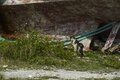 「カツオの島の島猫たち」宮古島から橋を渡って池間島、伊良部島へ【琉球島猫百景 vol.09　沖縄県・宮古島〈2〉】の画像005