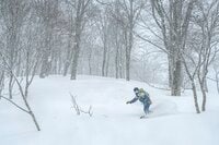 “ブナの森を滑るバックカントリー”  信越国境の山スキー名山「鍋倉山」へ！【長野県飯山市  2025年】
