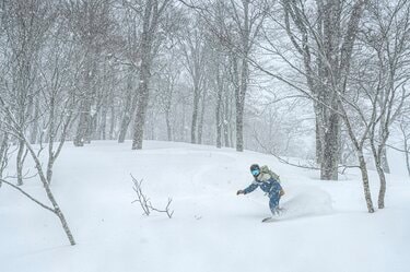 ブナの森を滑るバックカントリー” 信越国境の山スキー名山「鍋倉山」へ