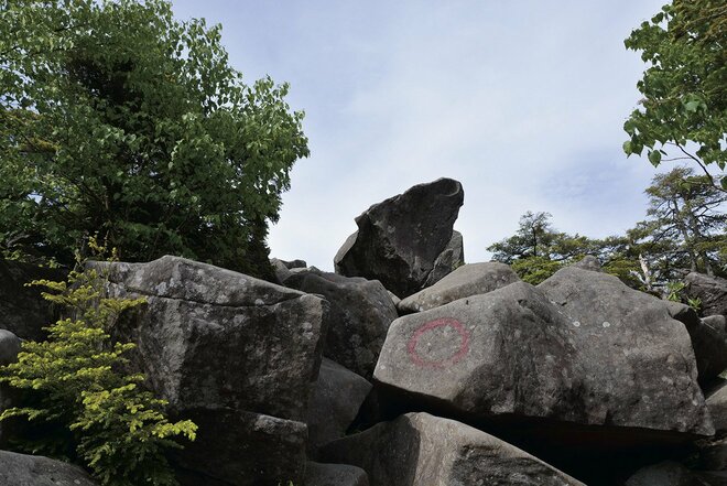 【この秋、絶対！ 八ヶ岳】第6回「白駒池」 北八ヶ岳らしい苔むした森を歩くの画像002