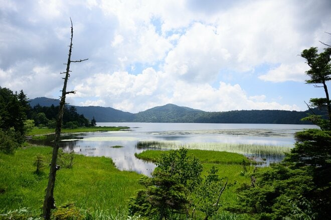 「奥只見湖」から行く尾瀬！  船とバスで繋ぐ絶景ルートを経て「裏燧林道・三条ノ滝・尾瀬沼」をめぐる1泊2日の贅沢ハイク【新潟県魚沼市】の画像019