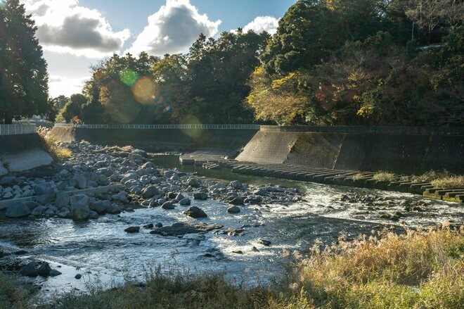 【渓流釣り】冬季キャッチ＆リリース！ 風光明媚な富士の裾野『黄瀬川』で、日がな一日ロッドを振り続けてフライフィッシング　静岡県裾野市｜2025年の画像007