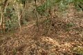 次々に現れる切岸に驚きの連続！  大勢力のはざまで揺れた小豪族の宿命　石見国・松山城〈前編〉（島根県江津市）【戦国の山城を攻める vol.03】の画像024