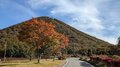 今週末の紅葉見るならどこ？ 名所＆人気スポットから最新情報をお届け「WEEKLY紅葉ニュース」【2023年10月第4週】の画像010