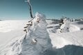 【雪山登山】豪雪の巻機山で絶景を堪能！ 美しすぎる雪山のマジックアワーにうっとり！ 大雲海の空中散歩  新潟県・2024年 の画像009