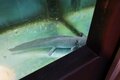 大自然の恩恵に浴する【群馬県みなかみ町】 バラエティーに富んだ「食＆温泉＆アウトドア」で日帰り派も宿泊派も大満足！の画像010
