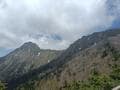 美しく苔むす原生林を歩く「杣添尾根」で八ヶ岳「横岳」へ！  まさに “高山植物の宝庫”  貴重な絶滅危惧種「ツクモグサ」にも会えた！「登山レポ」の画像002