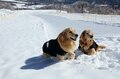 絶景テラスは白馬随一の集客スポット「白馬岩岳マウンテンリゾート」、日本を代表する名門リゾート「軽井沢プリンスホテルスキー場」【この冬行くべき、体験すべき！ スノーリゾート特集 vol.2】の画像004