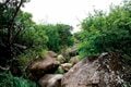 【この秋、絶対！ 八ヶ岳】第5回「天狗岳」 白駒池を通って空に突き出た双耳峰への画像003