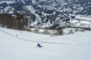 冬から春へ！  “新雪でもザラメ雪でもない”「湿雪滑走の魅力」さかえ倶楽部スキー場・長野県栄村