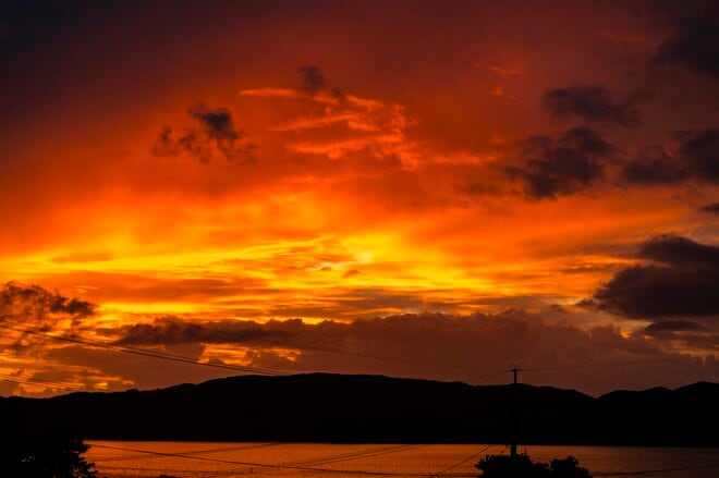 【鹿児島県】憧れのフラットシャロー！  フライフィッシングと昆虫観察、トレッキングを満喫した「奄美大島」トリップ   2025年の画像015