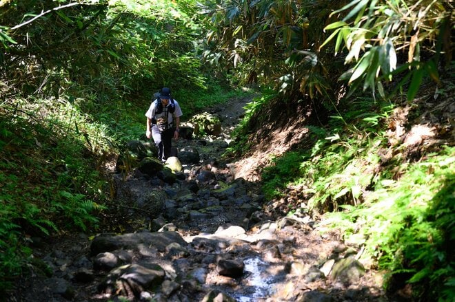 「奥只見湖」から行く尾瀬！  船とバスで繋ぐ絶景ルートを経て「裏燧林道・三条ノ滝・尾瀬沼」をめぐる1泊2日の贅沢ハイク【新潟県魚沼市】の画像017