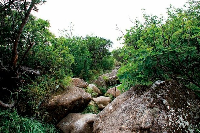 【この秋、絶対！ 八ヶ岳】第5回「天狗岳」 白駒池を通って空に突き出た双耳峰への画像003