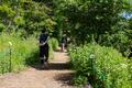 夏登山は涼しい「入笠山」から！  新緑と花々の「入笠湿原」&「大阿原湿原」山頂は「360度パノラマ」絶景！  ゴンドラ利用で往復3時間「登山レポ」の画像003