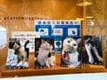 紀州一宮3社のうちの2社とプラス1社にお参り “三毛猫駅長”でも有名！【関西鉄道路線周辺曼荼羅 vol.01「和歌山電鐵貴志川線」】の画像006
