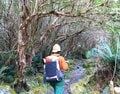 第4回｜【完結編】世界遺産の “世界一美しい散歩道”「ミルフォードトラック」体験記【7kg軽量装備全公開＆クイーンズタウン絶品グルメ】の画像001