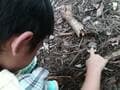 「意外に田舎の子は自然の中で遊べないってほんと？」 田舎で子育てをするメリットとデメリット＜後編＞【耕して、焙煎して、走る男　人口2,800人の村に移住してみました vol.10】の画像003