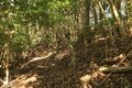 そそり立つ切岸が行く手を阻む。山陰の知られざる名城  石見国・周布城〈前編〉（島根県浜田市）【戦国の山城を攻める vol.01】の画像006