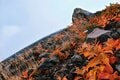 表情豊かな「浅間山」を見る【hykemika_yの山歩き】 初冬の景色は「ガトーショコラ」のよう！の画像002