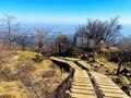春から登山をはじめたい人のための「入門登山」におすすめ関東近郊「4つの日帰り山」【時間の目安3時間以内】の画像006