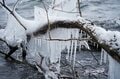 【奥入瀬渓流ホテル by 星野リゾート】苔むす渓流は冬、雪と氷に覆われ静謐な時が流れる ～氷瀑の迫力と冬が創る氷の芸術は寒さを忘れる美しさ～の画像003