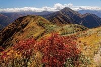 秘境！ 絶景！ ここだけは行きたい！【紅葉の山歩き ベスト5】信越 前編 「巻機山・苗場山・越後駒ヶ岳・八海山・平ヶ岳」