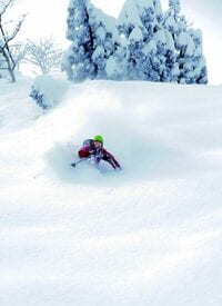 シャルマン火打|国内最大級の積雪を誇り ｢非圧雪主義｣を掲げるスキー場|新潟