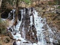 冬にしか見られない絶景「母の白滝」の結氷！  河口浅間神社スタート約1時間ハイキング！  地元在住20年ライター現地レポ【山梨県南都留郡富士河口湖町】