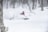 長野県大町市、白馬村、小谷村、日本を代表する【Hakuba Valley】全スキー場で使える超お得な「全山共通シーズン券」スーパー早割の販売がスタート！の画像003