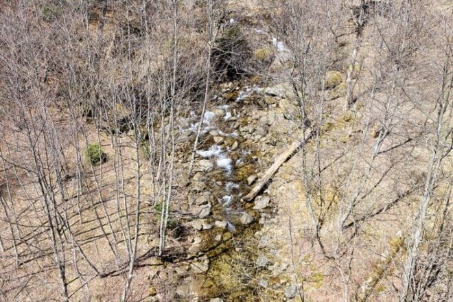 【まだ間に合う山のお花見】車でアクセスできる遅い春「山梨・奥秩父エリア」の開花状況（2026年4月）の画像001