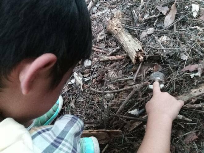 「意外に田舎の子は自然の中で遊べないってほんと？」 田舎で子育てをするメリットとデメリット＜後編＞【耕して、焙煎して、走る男　人口2,800人の村に移住してみました vol.10】の画像003