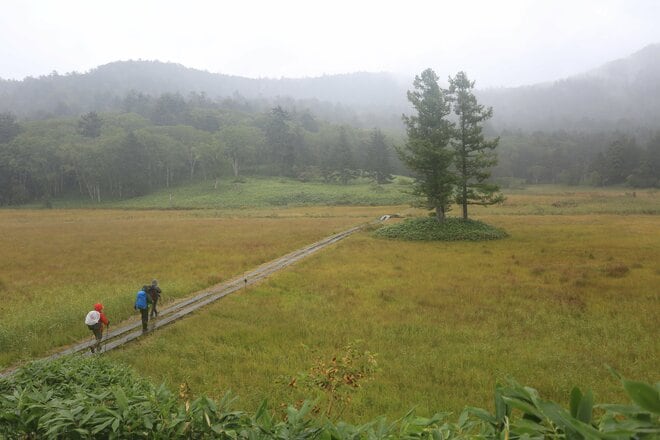 東北以北の最高峰 “燧ヶ岳”から見る「尾瀬沼と尾瀬ヶ原」と “尾瀬小屋”の「やまごやグルメ」を楽しむ1泊2日の周遊旅【福島県檜枝岐村】の画像018