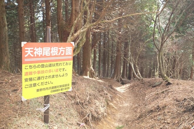 【各地で相次ぐ山火事】丹沢の人気ルート「大倉尾根」の通行止めが解除の画像008