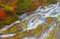 カメラ片手に！ 奥日光「竜頭の滝」を彩る鮮やかな紅葉とリバーハイキング 〈栃木県・日光国立公園〉2022年の画像001