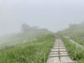 一度は登りたい「広い山頂」が絶景の山！ 眼下の眺めも良いけれど「大湿原・岩塊の大地」頂上エリアこそ見どころ【蓼科山／硫黄岳／苗場山】 の画像009