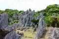NHK朝ドラ『ちむどんどん』の舞台！  ユネスコ世界自然遺産「世界最北端」熱帯カルストの「大石林山」で「ドリーネ・タワーカルスト・ピナクル」奇岩だらけの独特すぎる絶景に出会える沖縄北部「やんばる」の魅力とは？の画像001
