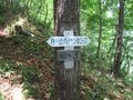 南アルプスの山の上で常夏気分！？  真っ白な砂浜が広がる「日向山」はまるで“天空のビーチ”【山梨県北杜市】の画像006