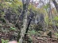 【首都圏近郊】1時間半で登頂できる山梨の隠れ名山「小楢山」紅葉の見頃はもうすぐ！の画像016