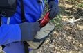 【ちょっと上手くなっちゃうかも！？】スマホで撮る「登山記録の写真」一度は試したい「2つの簡単な撮影テクニック」登山道から実践レポートの画像017