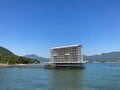 【島旅・シー・トゥ・サミット】「宮島・弥山の登山ルート」広島で青もみじの山＋海の幸＋観光＝「大人の修学旅行！」 2022年・広島県・厳島の画像004